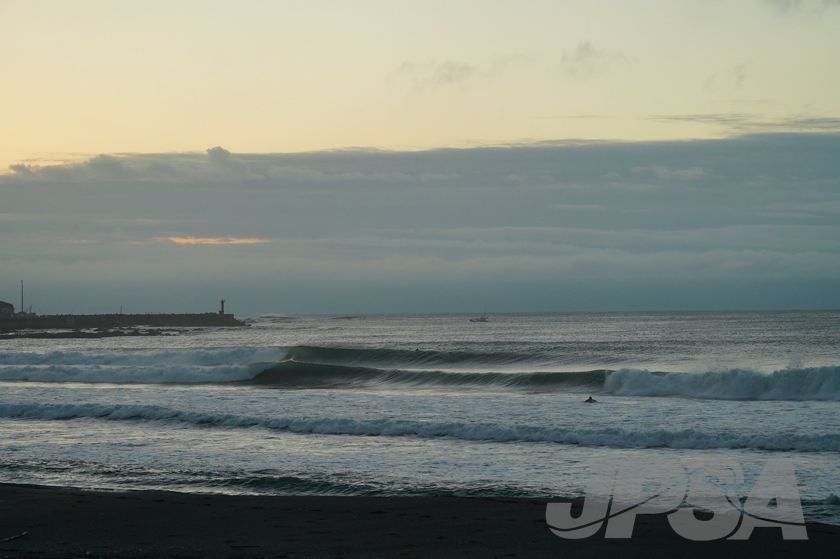 20201012054238_ABF09461m.jpg