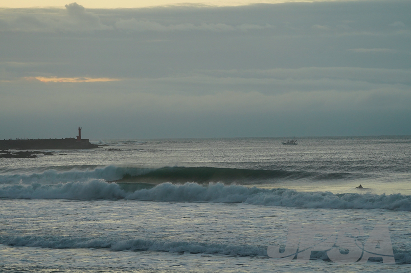 20201012054241_ABF09462m.jpg