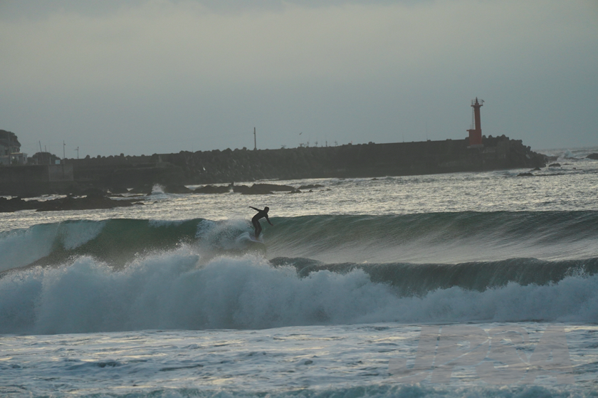 20201012054536_ABF09493m.jpg