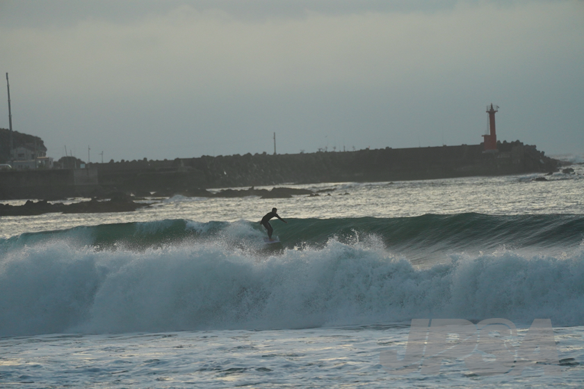 20201012054537_ABF09495m.jpg