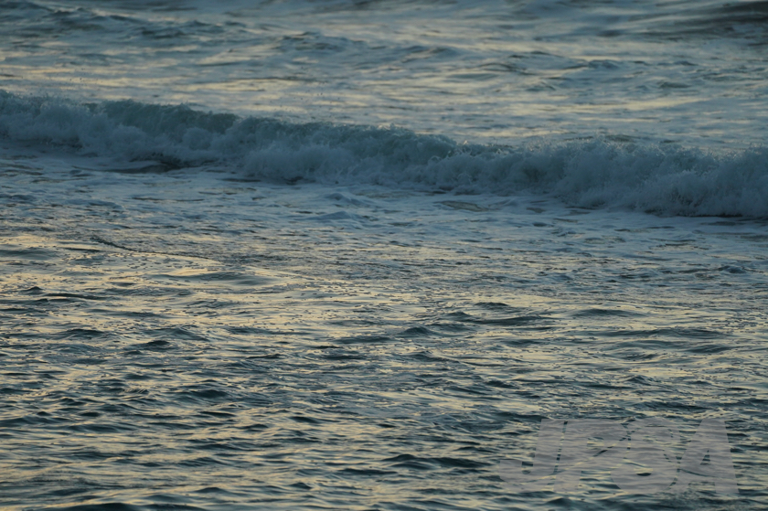 20201012054623_ABF09502m.jpg
