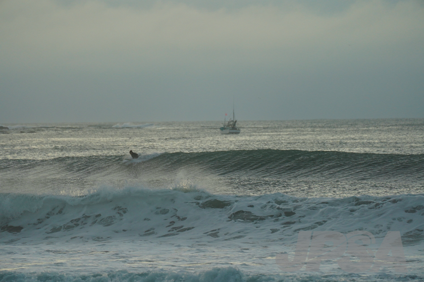 20201012054813_ABF09533m.jpg