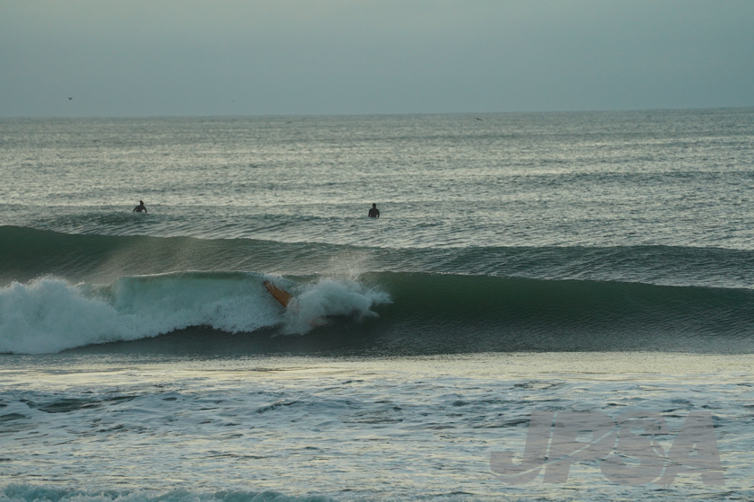 20201012055139_ABF09559m.jpg