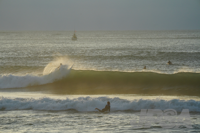 20201012060217_ABF09567m.jpg