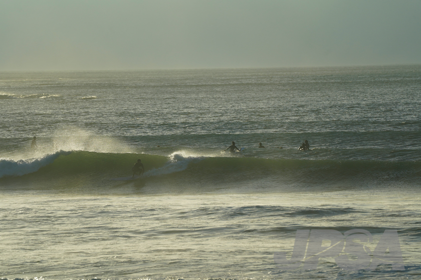 20201012062302_ABF09632m.jpg