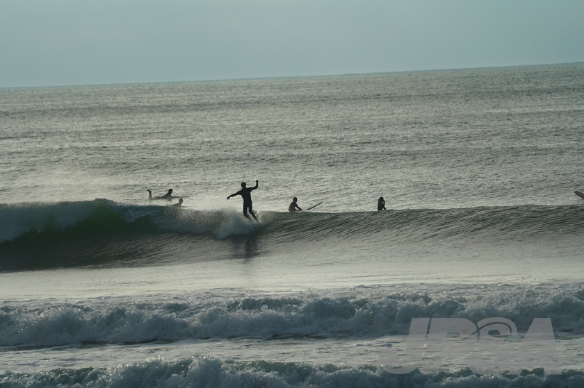 20201012065425_ABF09666m.jpg