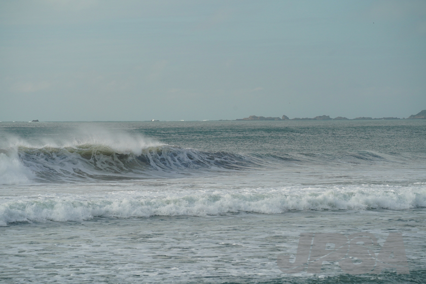 20201012074226_ABF09731m.jpg