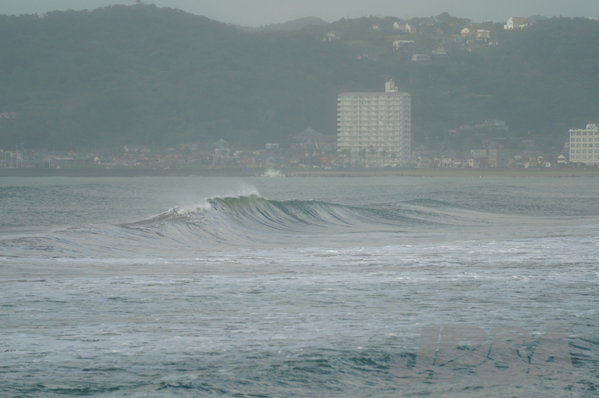 20201012074259_ABF09734m.jpg