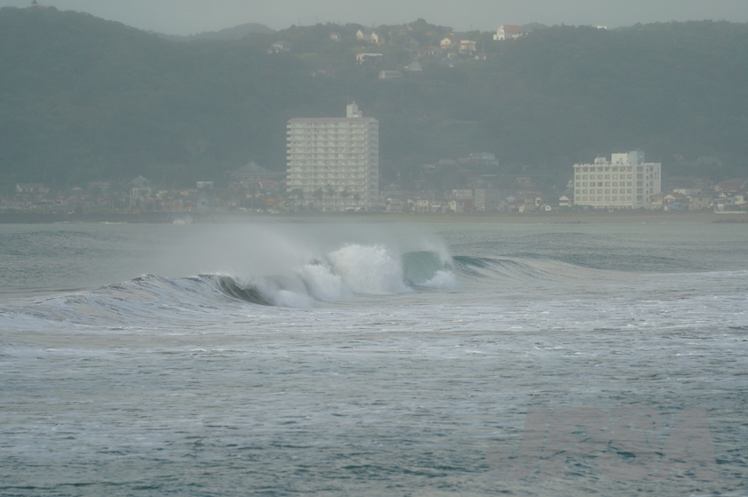 20201012074301_ABF09738m.jpg