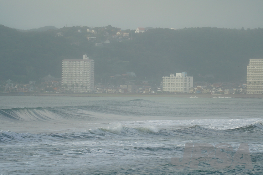 20201012074309_ABF09739m.jpg