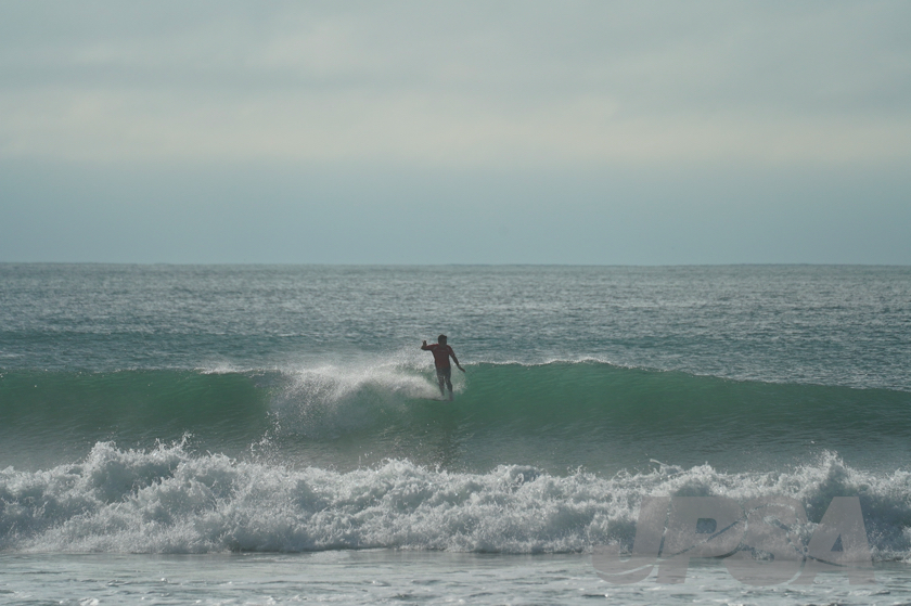 20201012075148_ABF09793m.jpg