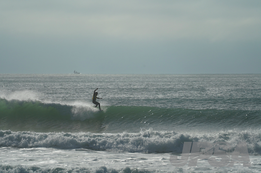 20201012075442_ABF09811m.jpg