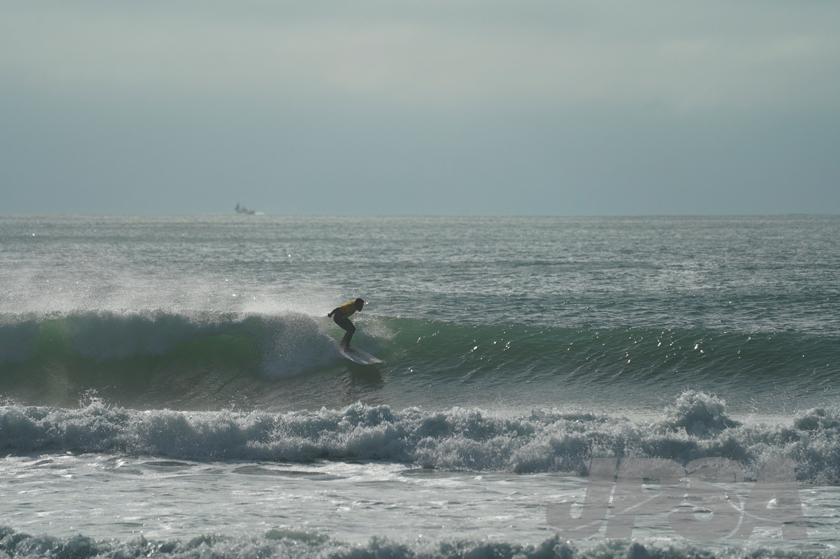 20201012075443_ABF09815m.jpg