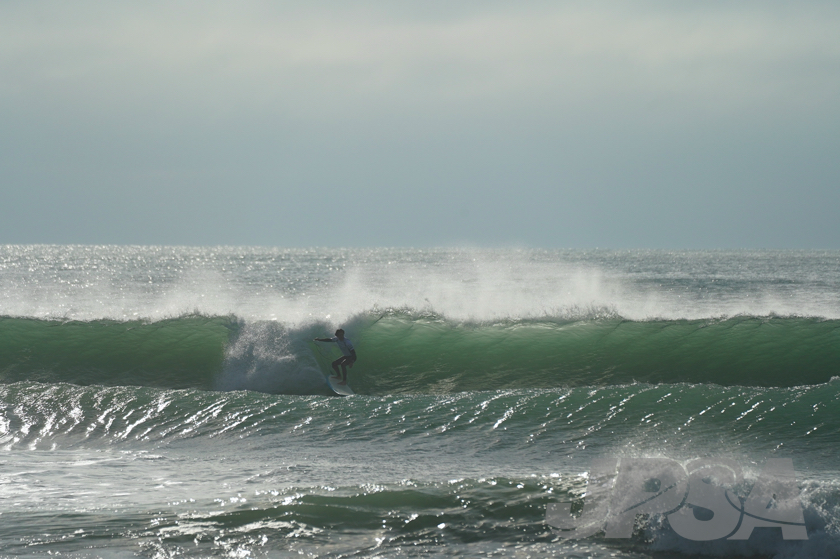 20201012075930_ABF09841m.jpg
