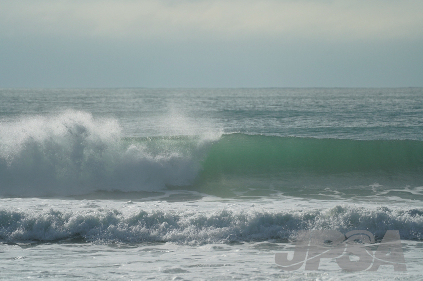 20201012075946_ABF09865m.jpg