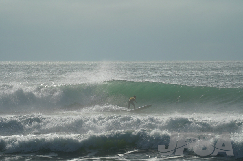 20201012080226_ABF09899m.jpg