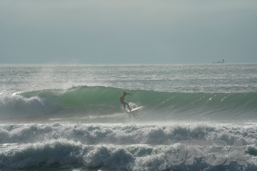 20201012080227_ABF09901m.jpg