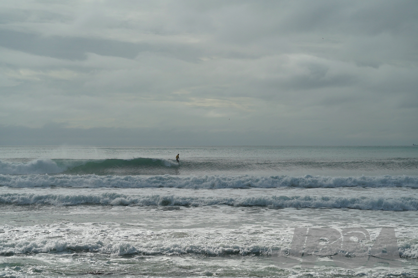 20201012082119_ABF09966m.jpg