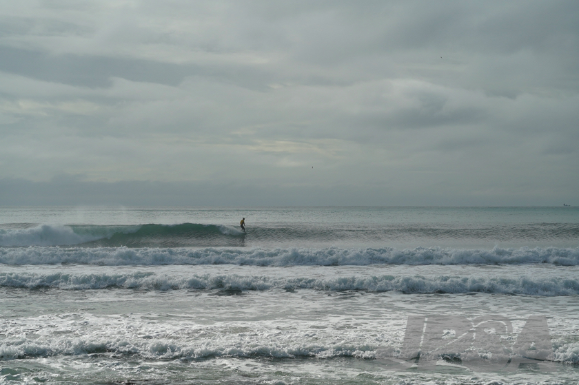 20201012082119_ABF09967m.jpg