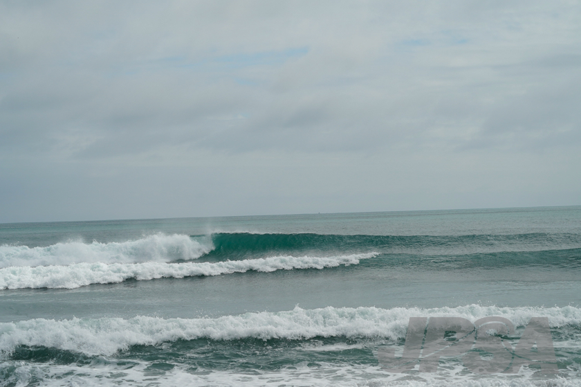 20201012114329_ABF00945m.jpg