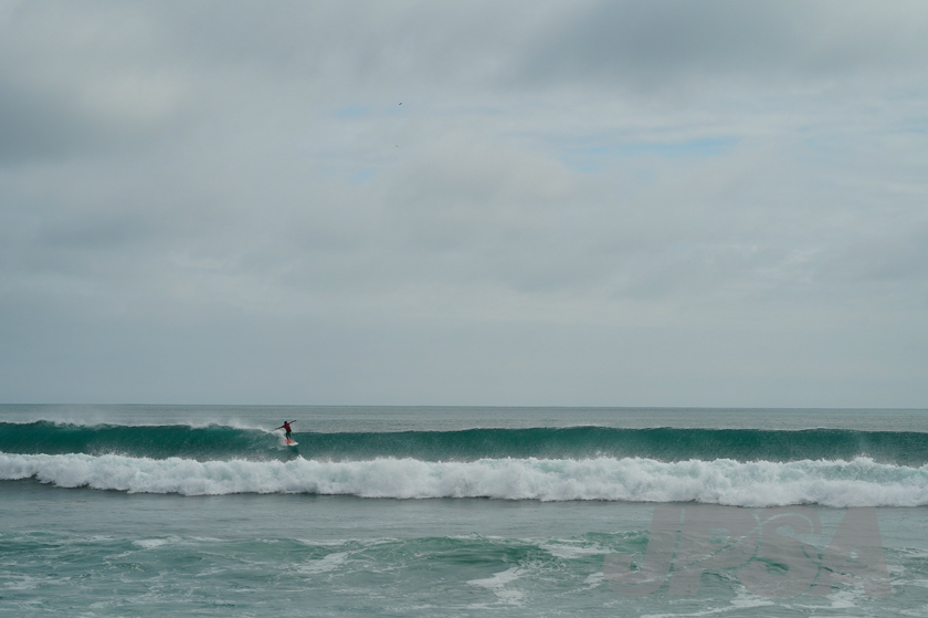 20201012114623_ABF00955m.jpg