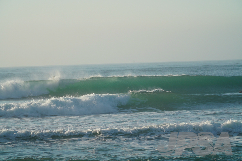 20201013064609_ABF02956m.jpg