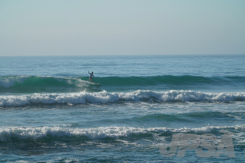 20201013073354_ABF03122m.jpg