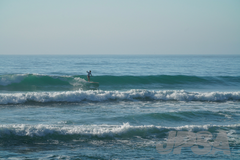 20201013073354_ABF03123m.jpg