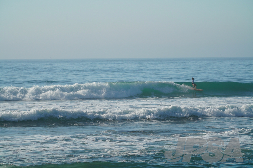 20201013073359_ABF03125m.jpg
