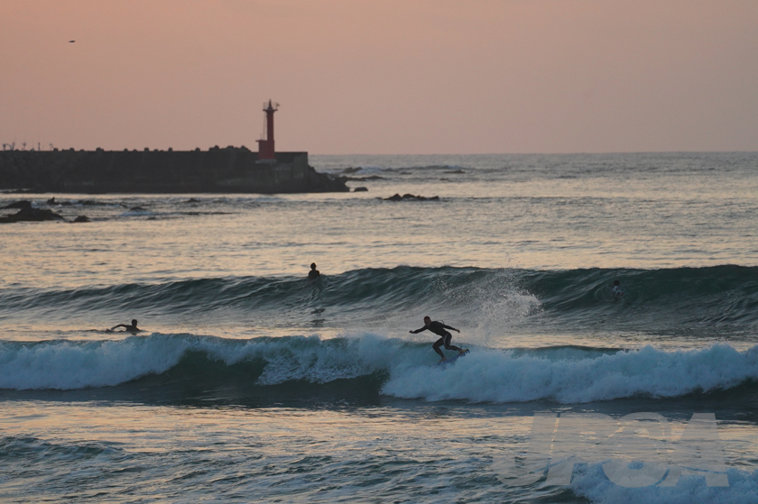 20201014055114_ABF05039m.jpg
