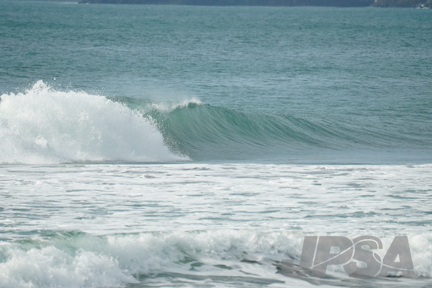 20201014080320_ABF05557m.jpg