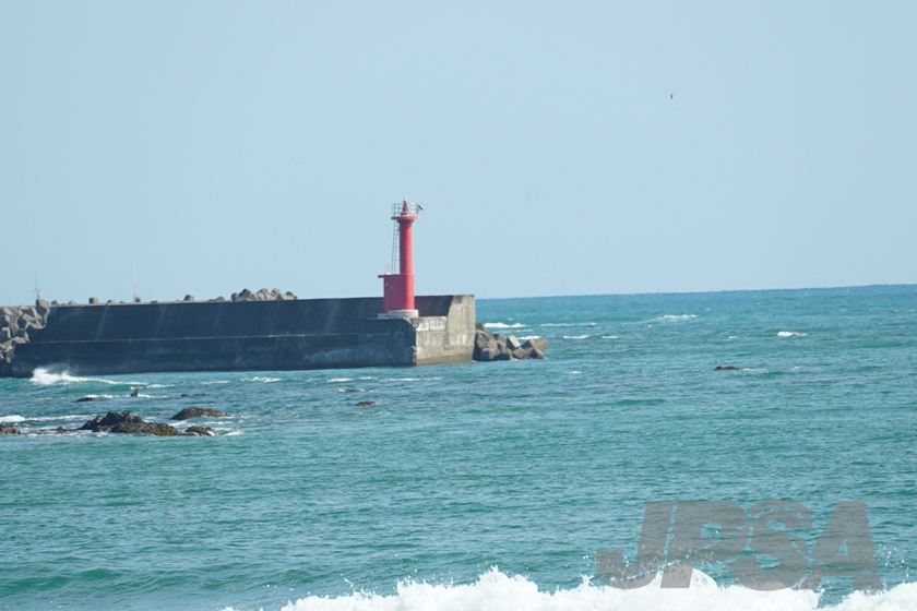 20201014124304_ABF06923m.jpg