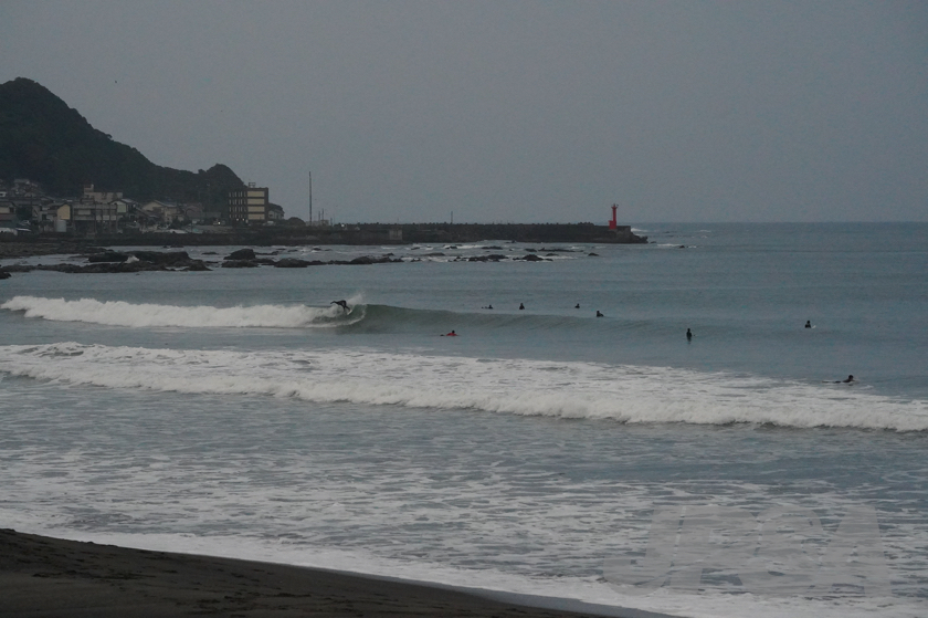 20201015060446_ABF07823m.jpg