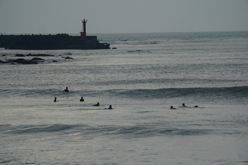 20201015062226_ABF07865m.jpg