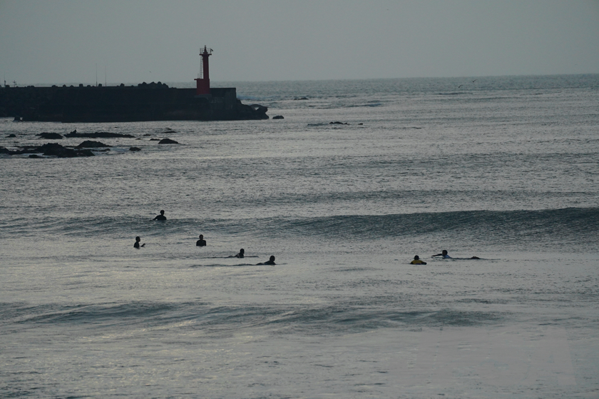20201015062226_ABF07866m.jpg