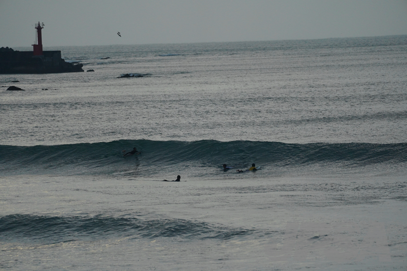 20201015062231_ABF07870m.jpg