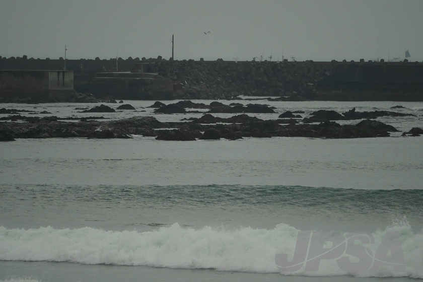 20201015071431_ABF08139m.jpg