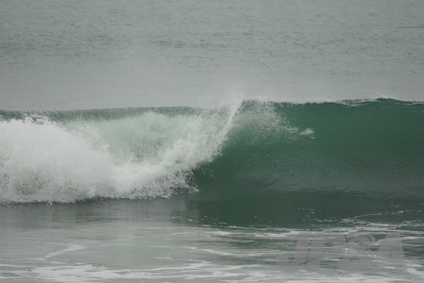 20201015072103_ABF08176m.jpg