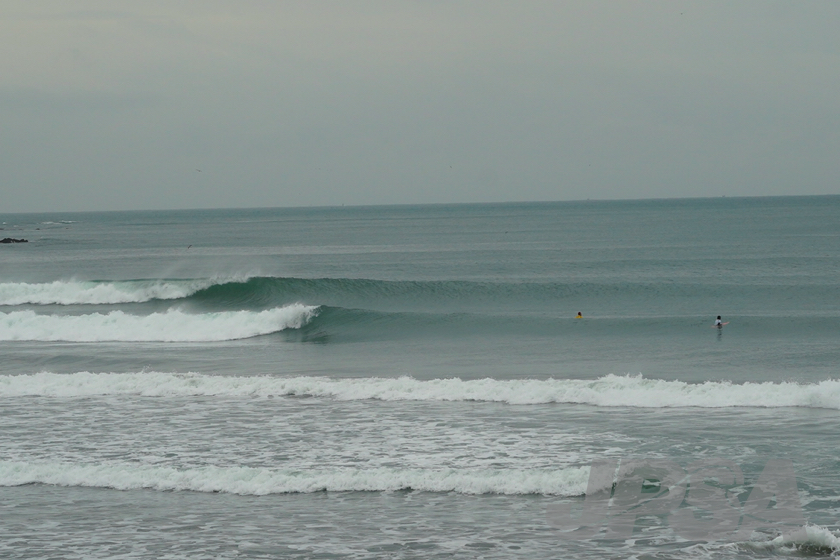 20201015074058_ABF08414m.jpg