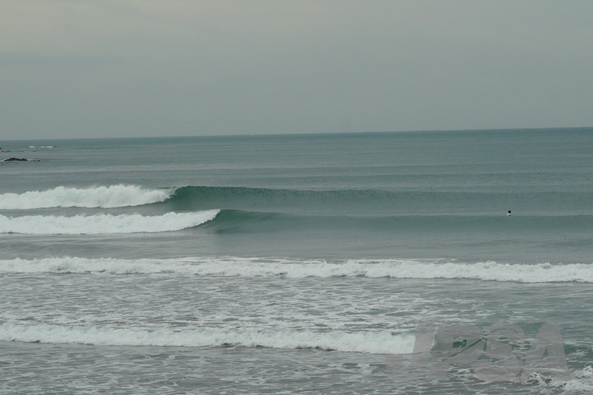 20201015074059_ABF08417m.jpg