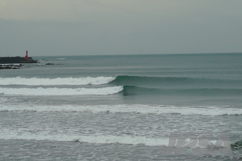 20201015074100_ABF08418m.jpg