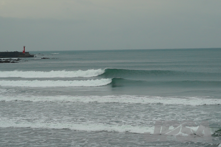 20201015074100_ABF08419m.jpg