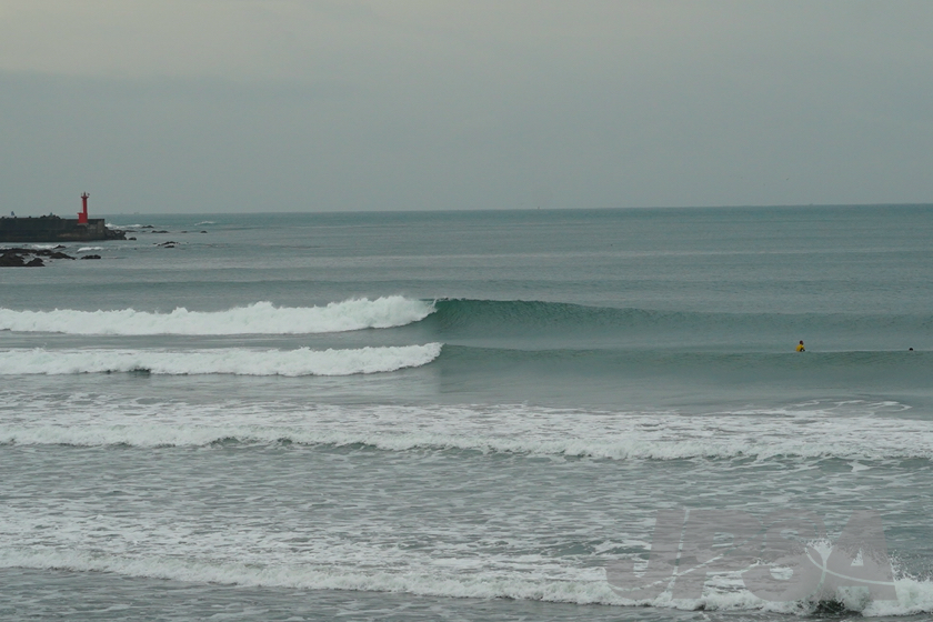 20201015074103_ABF08423m.jpg