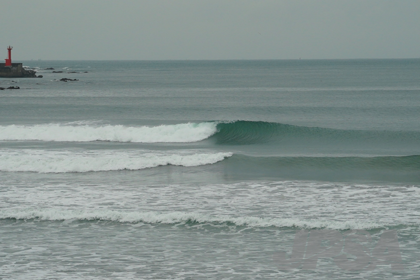 20201015074105_ABF08424m.jpg