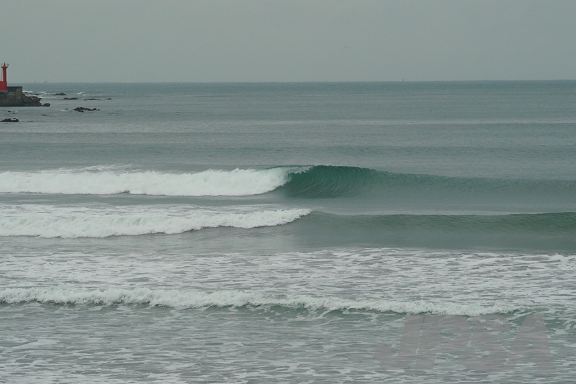 20201015074105_ABF08425m.jpg