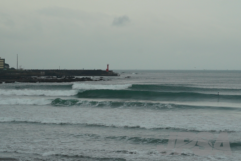 20201015075653_ABF08534m.jpg