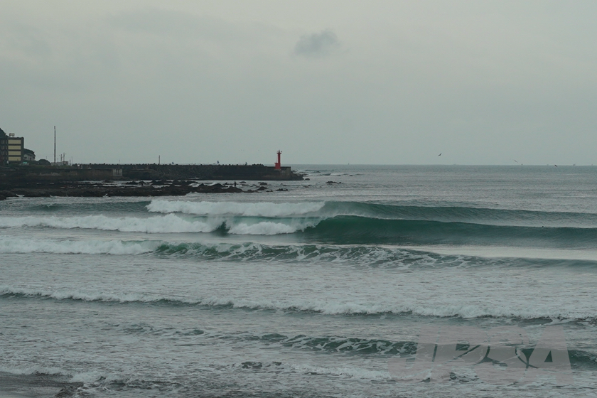 20201015075654_ABF08535m.jpg