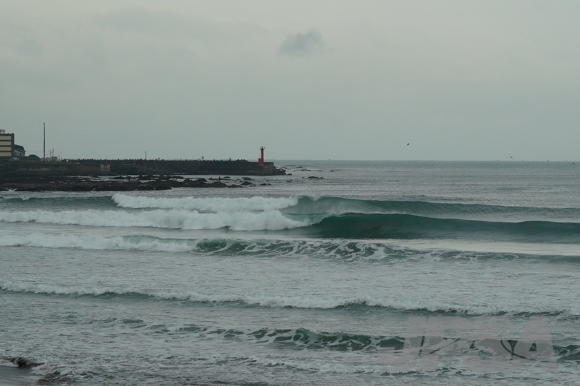 20201015075655_ABF08537m.jpg