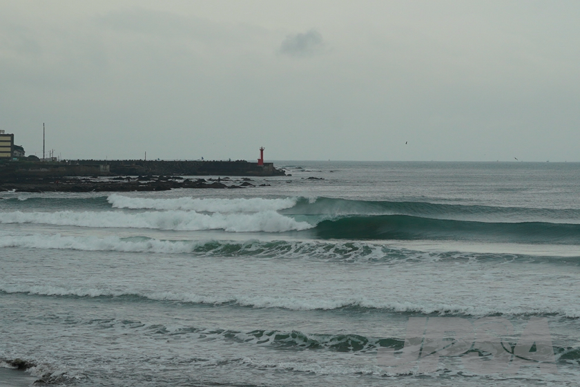 20201015075655_ABF08538m.jpg