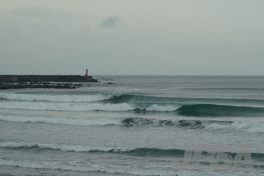 20201015075658_ABF08542m.jpg
